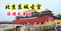 操逼逼逼打开中国北京-东城古宫旅游风景区